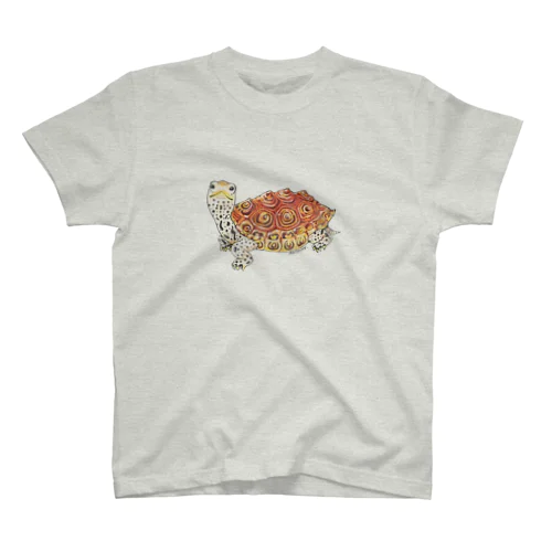 ダイヤモンドバックテラピン（着色） スタンダードTシャツ