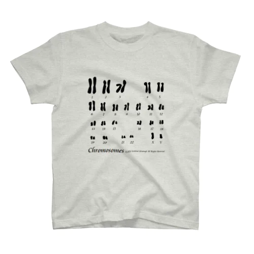 【学習シリーズ】染色体 スタンダードTシャツ