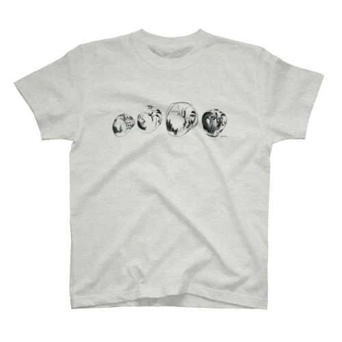 4 Apples in a line スタンダードTシャツ