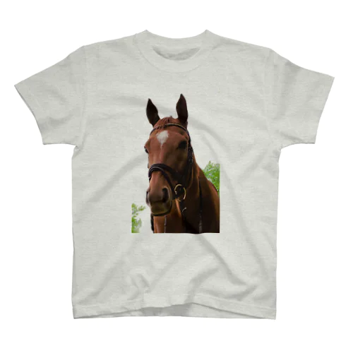 牧場 乗馬 馬術の馬 Regular Fit T-Shirt