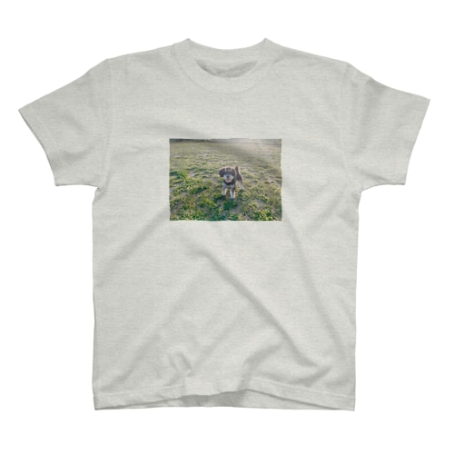 春の犬 Regular Fit T-Shirt
