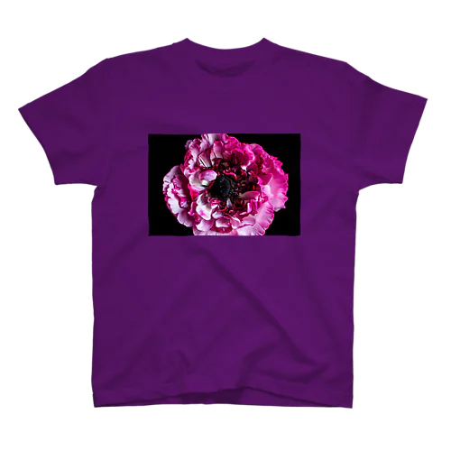 Pink Ranunculus Regular Fit T-Shirt