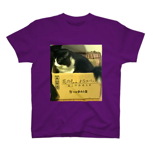 あの人気ハチワレ猫あるあるシリーズ Regular Fit T-Shirt