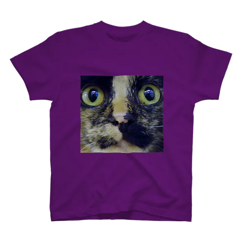 サビ猫 Regular Fit T-Shirt