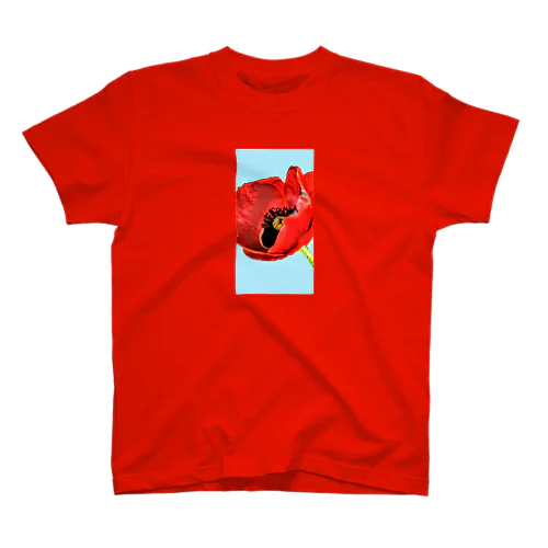 POPPY Regular Fit T-Shirt