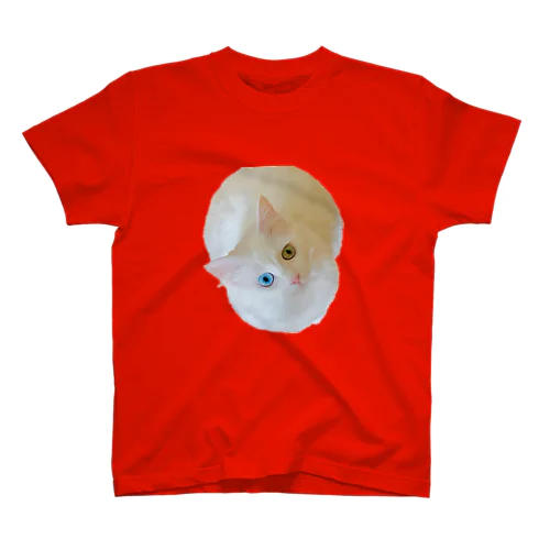 オッドアイの白猫エマメちゃんグッズ Regular Fit T-Shirt