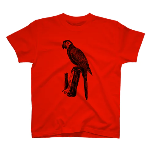 インコ＜アンティーク・プリント＞ Regular Fit T-Shirt