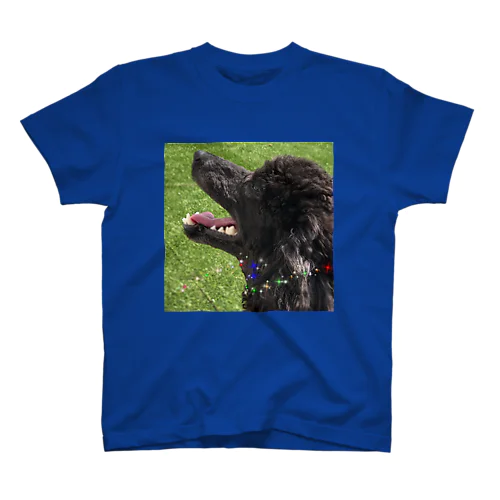 清々しいイケメン犬 Regular Fit T-Shirt