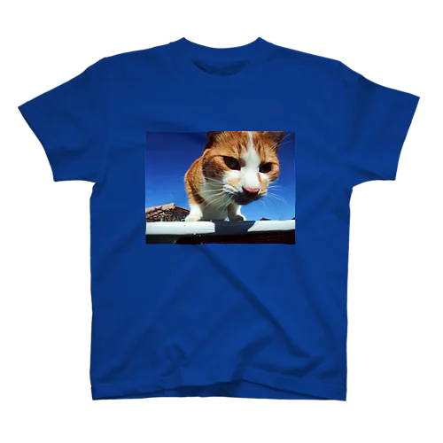 NEKO Regular Fit T-Shirt