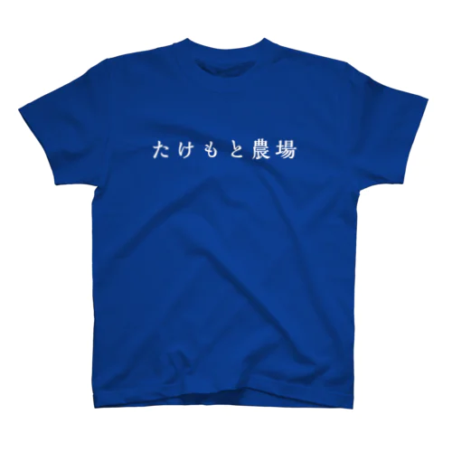 青いTシャツ スタンダードTシャツ