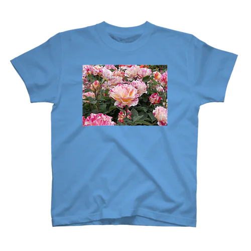 ピンクの薔薇② スタンダードTシャツ