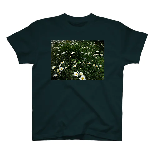 201406221156001　群生する植物 スタンダードTシャツ