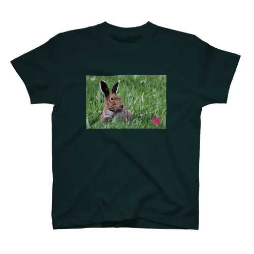 【サロベツのエゾユキウサギ】笑顔増える毎日を Regular Fit T-Shirt