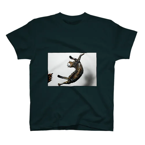 猫が横っ飛びしてる スタンダードTシャツ