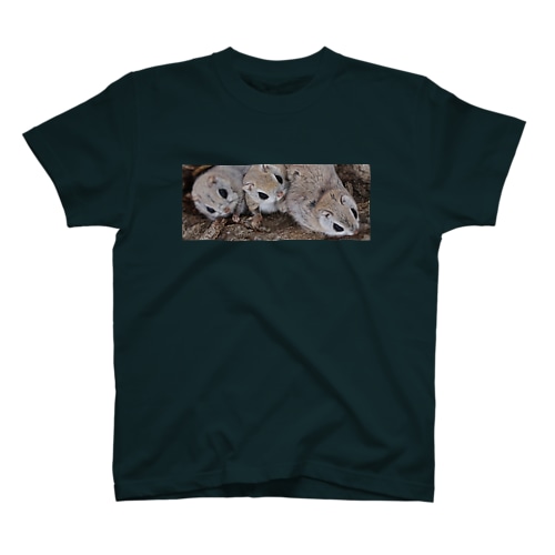 【エゾモモンガ】手軽に心もカラダもリラックス Regular Fit T-Shirt