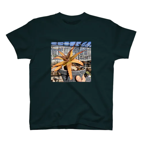 Aloe Regular Fit T-Shirt