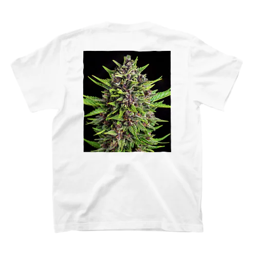 大麻裏A Regular Fit T-Shirt