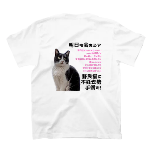 不妊去勢手術のお願い（中河原のワケちゃん） スタンダードTシャツ