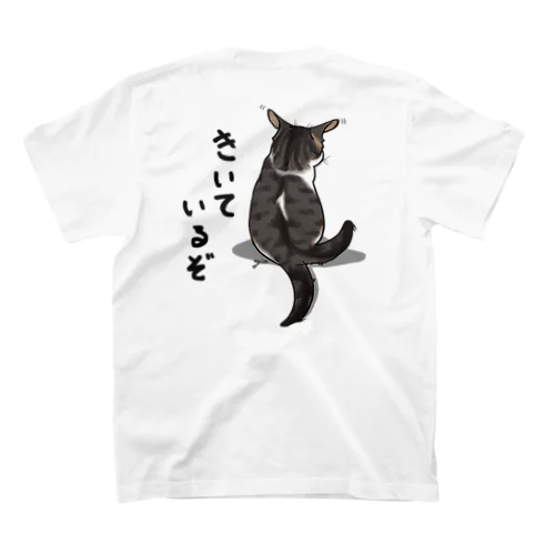 きいているぞ スタンダードTシャツ