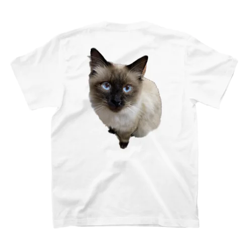 【実写】シャムベースのMIX保護猫 ムタさん スタンダードTシャツ