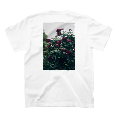 Purple Rose スタンダードTシャツ