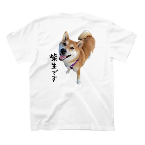 柴生です スタンダードTシャツ