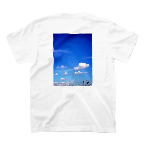 airplane  Regular Fit T-Shirt