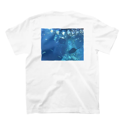 水族館202404 スタンダードTシャツ