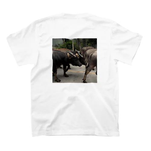 ベトナムの田舎にて Regular Fit T-Shirt