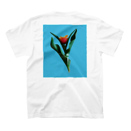 <back print>Tulipa cv. lambada スタンダードTシャツ