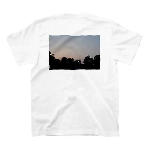 公園で撮った空 スタンダードTシャツ