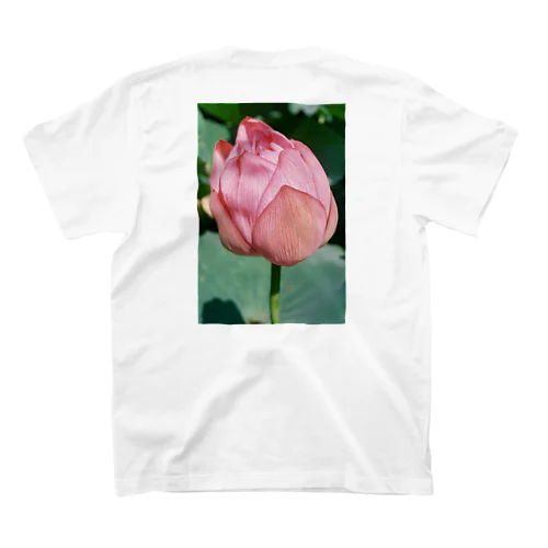 Life 〜不忍池の花〜 スタンダードTシャツ