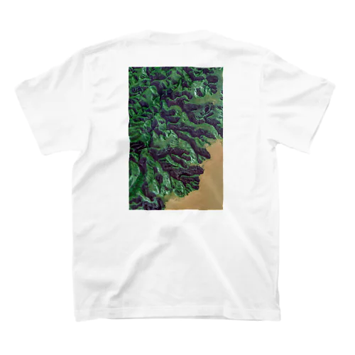 0７_ Benenitra-Madagascar スタンダードTシャツ