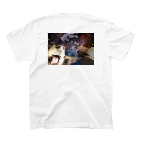 They are so crazy!!!!ーイカれた犬と猫ー スタンダードTシャツ