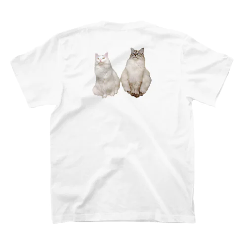 Luke&Leia Regular Fit T-Shirt