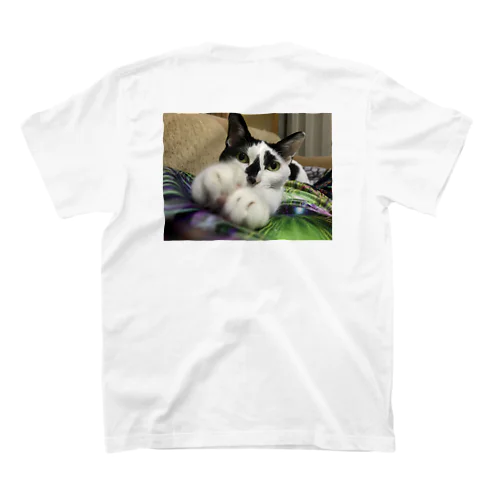 2020年8月22日のねむ猫 スタンダードTシャツ