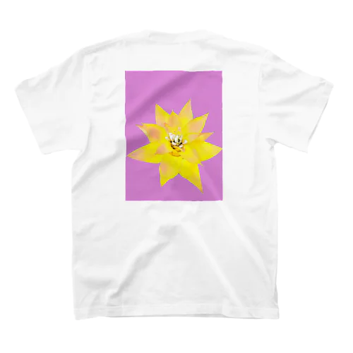 グズマニア　オリジナル　BP スタンダードTシャツ