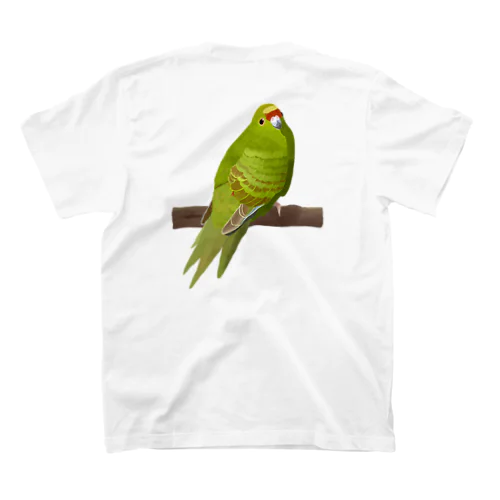 キガシラアオハシインコ（背面プリント) スタンダードTシャツ