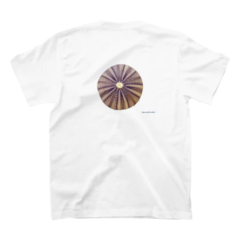シラヒゲウニの殻 スタンダードTシャツ