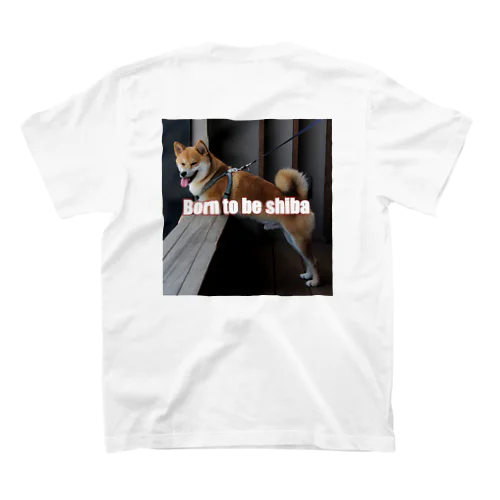 Born to be shiba スタンダードTシャツ