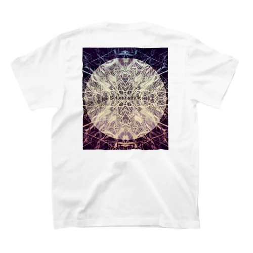 Geometric pattern　月とエノコログサ スタンダードTシャツ