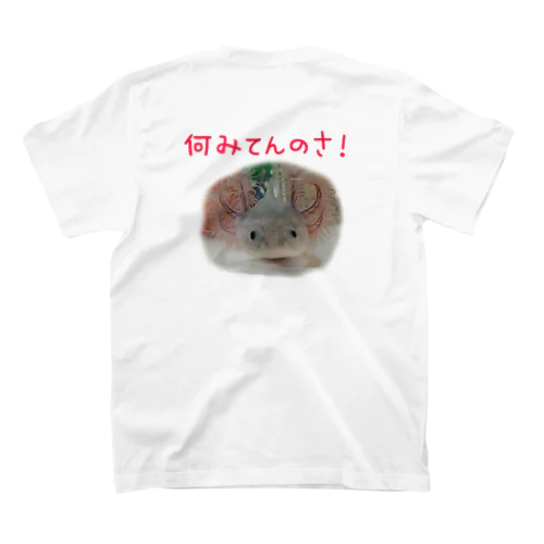 何みてんのさ！ウーパールーパー スタンダードTシャツ