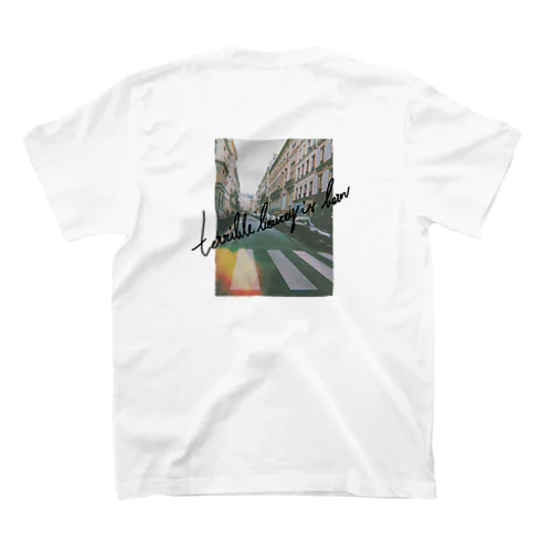 Paris【🦇】 スタンダードTシャツ