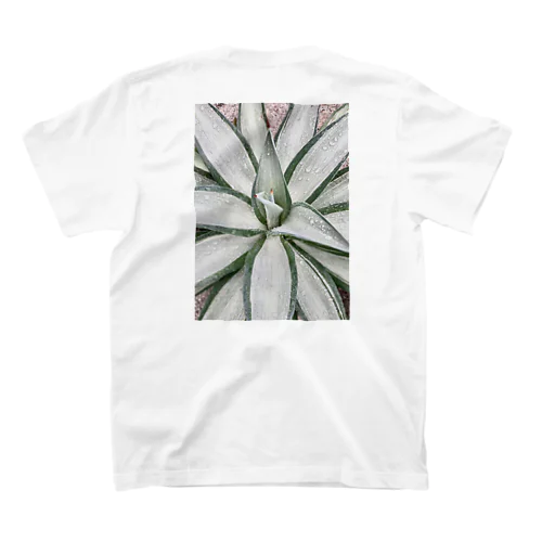 agave tシャツ Regular Fit T-Shirt