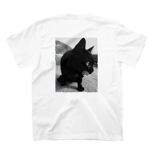 HF 波止場の猫ちゃん フォトプリント スタンダードTシャツ