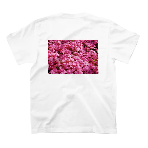 芝桜 スタンダードTシャツ