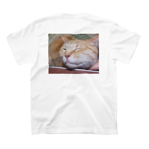 トラ Regular Fit T-Shirt