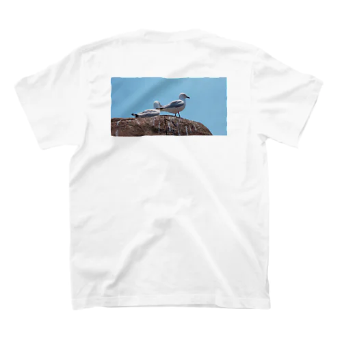 sky Regular Fit T-Shirt