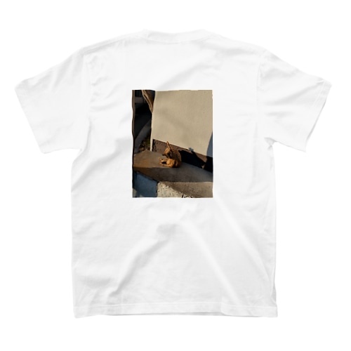 夕暮れのちゃんねこ Regular Fit T-Shirt