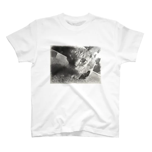 猫だよ Regular Fit T-Shirt
